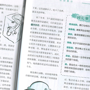 探索冬天 25个了解冬天的有趣方法（科学么么哒 [美]玛克辛·安德森 科普 6-11岁 正版图书籍 上海科教 世纪出版