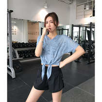 Wake Up Horse Chia Line Sports Blouse Speed Jersey Short Sleeves T-shirt Blue Fitness Hooded Yoga Women Summer Thin