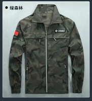 303 зеленая вершина леса