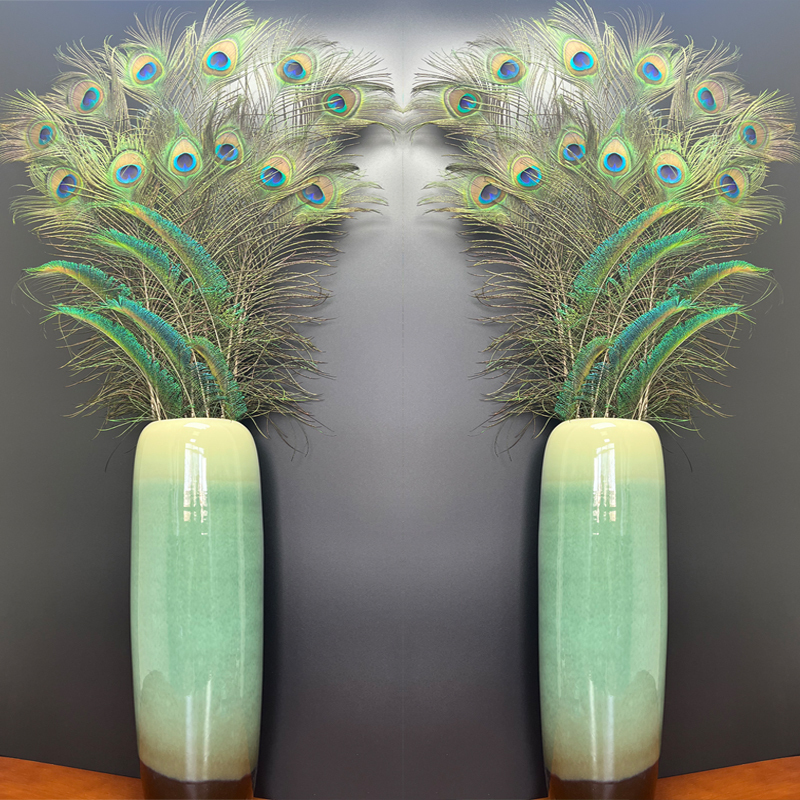 Imported Pure Natural Real Peacock Feathers with Large Eyes, Vase Home Decoration, Living Room Decoration, DIY Decoration