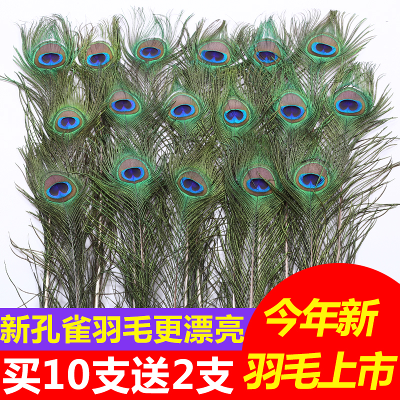 Pure natural real peacock feather feather tail big eyes DIY jewelry home furnishings living room wedding vase decorations