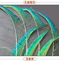 Перья павлина 80-90 см 6 шт.