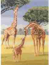 Cross-stitch XSD redraw Saga source file Heritage Family of Three Giraffes