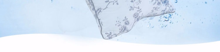 Gối gối cặp đôi chính hãng có thể giặt được cho người lớn dễ thương để gửi gối hoạt hình một bộ gối cổ gối đầu
