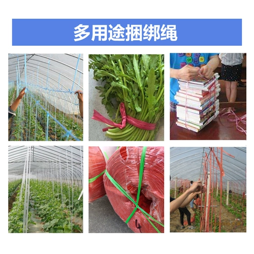 Упаковка веревочной упаковки книга отработавшая бумага овощная пластиковая пачка пучка веревка