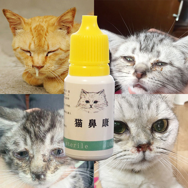Cát mũi mũi mèo hắt hơi lạnh chảy nước mũi nghẹt mũi chống viêm mũi xi-rô - Thuốc nhỏ mắt thuốc tobradex
