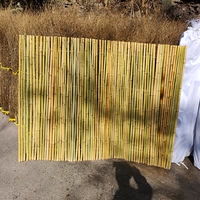 Эта цветная высота бамбука составляет 1 метр*шириной 2 метра