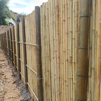 Бамбуковый столб