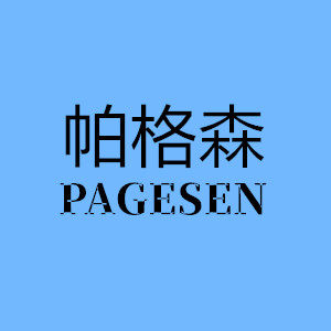 帕格森车品的LOGO