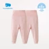 Li Ying phòng bé quần áo nam bé mùa thu đồ lót của phụ nữ bé cotton thiết kế quần bụng 2 nạp 2018 new