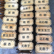 Custom Tree brand wooden flower and grass brand tree introduction listed plant green sign hanging billboard tag tag