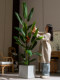 High-End Artificial Bird of Paradise Indoor Green Plant, Potted Strelitzia, Simulated Fake Tree for Landscaping, Light Luxury Decorative Ornament