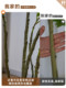 Simulated Plant Nandina Bamboo Floor-Standing High-End Potted Landscaping Artificial Tree Bionic Green Plant Indoor Living Room Decoration Ornament