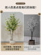 Simulated Plum Blossom Tree, Ultra-Realistic Decorative Artificial Flower Tree, Potted Plant Ornament, Indoor High-End Artificial Green Plant for Landscape Creation