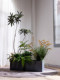 Large Rectangular Flower Bed for Outdoor Courtyard and Balcony, Landscape Dining Area Display, Thickened Large Flower Trough Combination