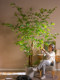High-End Artificial Fishtail Sunflower, Large Loose-Tailed Sunflower Plant, Fake Tree Potted Plant, Indoor Living Room Artificial Green Plant Landscaping Ornament