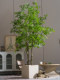 Simulated green plants, large elm trees, indoor high-end atmosphere, tropical bionic plants, artificial trees, landscaping decorations