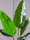 Large Artificial Plant Traveler's Banana Tree Bird of Paradise Indoor Potted Landscaping Bionic Green Plant Fake Tree Floor-Standing Decorative Ornament