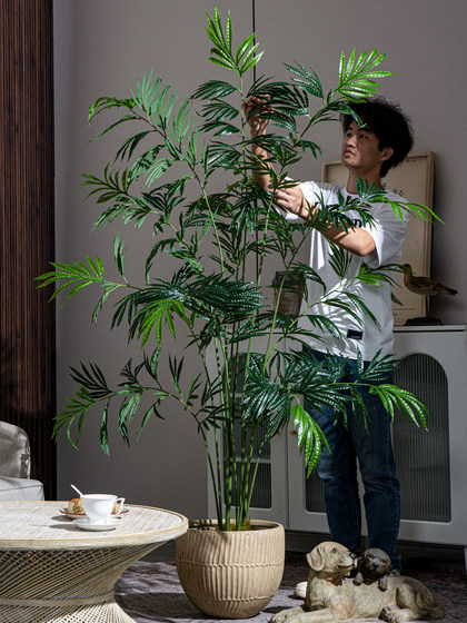 High-End Artificial Green Plant, Cycad Palm Floor-Standing Potted Plant, Landscaping Decoration, Artificial Plant, Living Room Ornamental Plant, Fake Tree