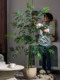 High-End Artificial Green Plant, Cycad Palm Floor-Standing Potted Plant, Landscaping Decoration, Artificial Plant, Living Room Ornamental Plant, Fake Tree