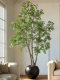 Large Artificial Green Plant Elm Money Tree Fake Tree Indoor Decoration Antique Style Bionic Plant Living Room Floor-Standing Potted Ornament