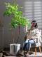 Large Artificial Green Plant Potted Decoration for Indoor Living Room, Simulated Plant for Shopping Mall, Artificial Tree for Landscaping