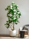 High-End Artificial Magnolia Tree, Large Green Plant, Indoor Decorative Potted Plant, Simulated Fake Plant, Floor-Standing Landscaping Ornament