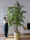 Large Artificial Green Plant Floor-Standing Indoor Potted Plant Elm Money Tree Money Banyan Ornament Bionic Tropical Fake Tree Landscaping Decoration