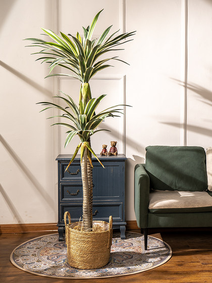 Trendy Artificial Agave Tree Fake Plant Potted Indoor Living Room Landscape Floor Decoration Green Plant Ornament Bonsai