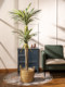 Trendy Artificial Agave Tree Fake Plant Potted Indoor Living Room Landscape Floor Decoration Green Plant Ornament Bonsai