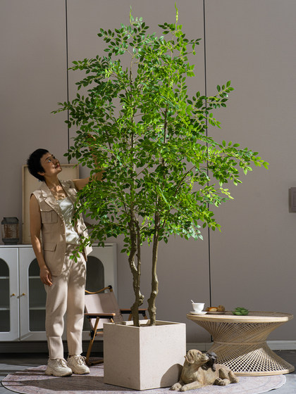 Simulated green plants, large elm trees, indoor high-end atmosphere, tropical bionic plants, artificial trees, landscaping decorations
