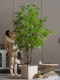Simulated green plants, large elm trees, indoor high-end atmosphere, tropical bionic plants, artificial trees, landscaping decorations