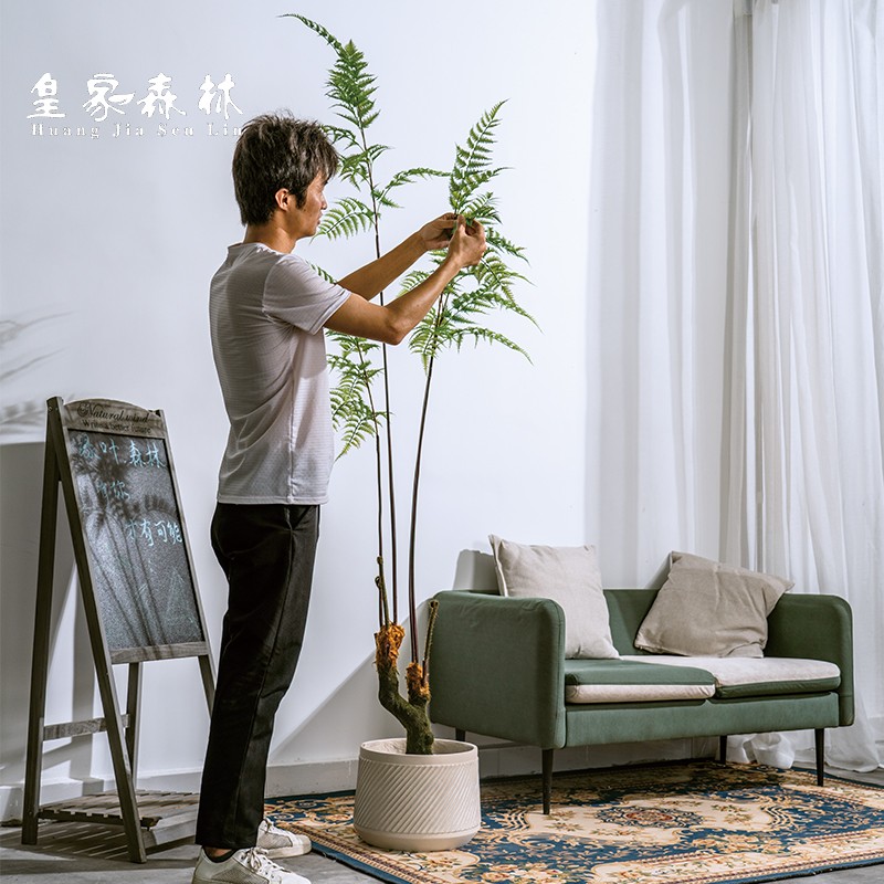 Simulation Golden Fur Dog Fern Green Planting Landscape Building View Fake Tree Potted Gold Silk Monkey Fern Bonsai Indoor Living Room Decoration Pendulum-Taobao