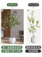 Large Artificial Green Plants for Indoor Decoration, High-End Artificial Flower Trees, Island Spring Flowers, Bionic Plants, Landscaping Potted Ornaments