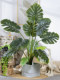 Monstera Artificial Plant Landscaping Indoor New Model Bionic Green Plant Fake Tree Potted Plant Living Room Decoration Ornament Fake Flower Tree