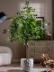 Large simulated green plant elm money tree banyan tree indoor living room high-end floor-standing potted fake tree decorations atmosphere ornaments