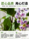 Artificial Plant Hanging Jasmine Fake Green Plant Indoor Living Room High-End Floor-Standing Potted Plant Decoration Biomimetic Ornament