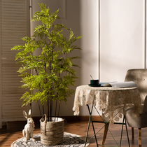 Large hand-feel fern tree simulation fake green plant plastic pot pot room decorated floor landscape fixture