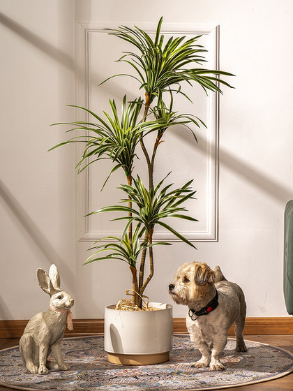 Trendy Artificial Multicolored Dragon Blood Tree Potted Plant for Living Room Plastic Flower Floor-Standing Plant Decoration Ornament