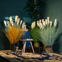 Nordic Reed Grass Simulation Flower Room in Floating Room Floating Plant Pot Fake Plant Fashion Shop Decoration