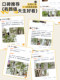 Top Ten Artificial Green Plants for Indoor Entrance, High-End Fake Tree Decoration, Potted Plants, Simulated Plants, Hotel Landscape Ornaments