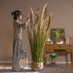 High-End Natural Reed Grass Artificial Flower Plants, Faux Trees, Indoor Dried Flowers, Bionic Green Plants, Window Display Decoration Ornaments
