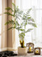 Simulated Tree Fern Plant Golden Monkey Perch High-End Light Luxury Bionic Green Plant Indoor Monkey Head Fern Fake Tree Potted Ornament