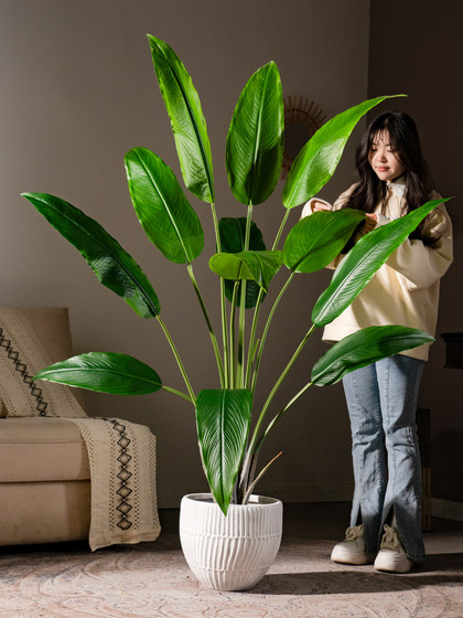 Artificial Green Plant Bird of Paradise Fake Flower Potted Plant Indoor Artificial Plant Traveler's Banana Decorative Landscaping Fake Tree Floor-Standing Ornament