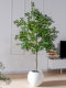 Extra-Large Artificial Elm Tree Potted Plant for Indoor Living Room Decoration, Faux Tree, Biomimetic Green Plant, Floor-Standing Decorative Ornament