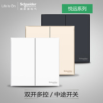 Schneider switch socket pleasing series two open midway switch two open multi-control two open triple-control getaway black