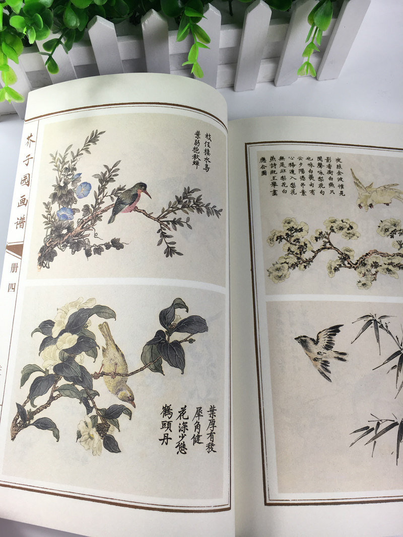 芥子园画谱全4册线装彩图版中国传世山水画写意花鸟人物兰梅竹菊-阿里巴巴