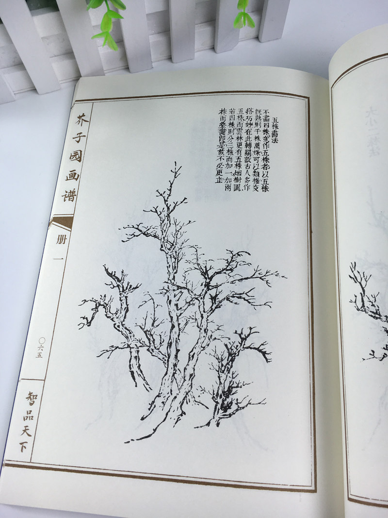 芥子园画谱全4册线装彩图版中国传世山水画写意花鸟人物兰梅竹菊-阿里巴巴