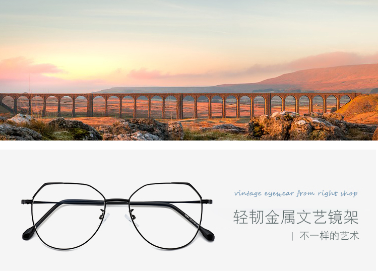 Montures de lunettes en Alliage cuivre-nickel - Ref 3140286 Image 6