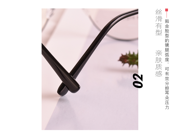 Montures de lunettes en Alliage de nickel - Ref 3139683 Image 13